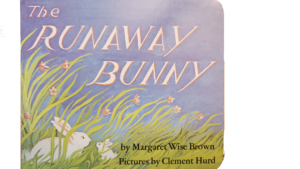 Cover of The Runaway Bunny by Margaret Wise Brown