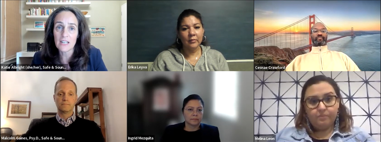 Lunch and Learn - shot of the speakers on the webinar.