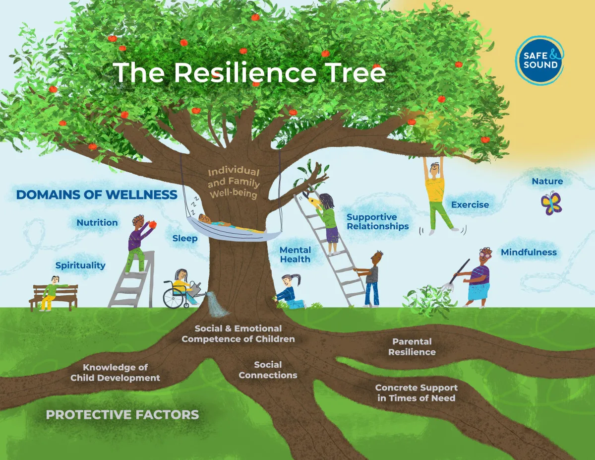 An infographic of Safe & Sound's Resilience Tree